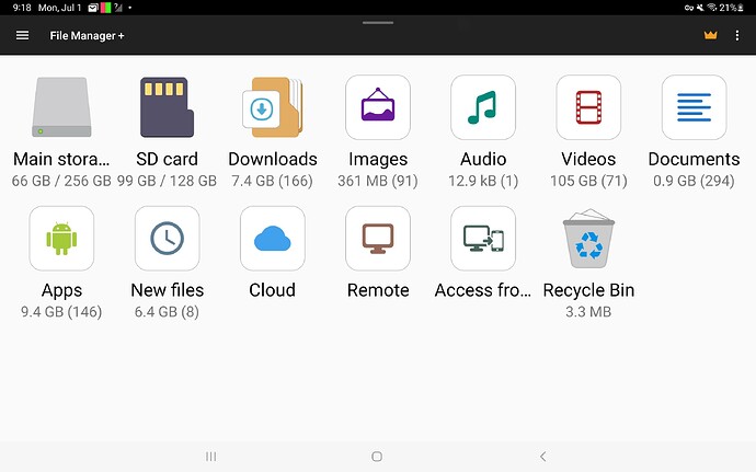 Screenshot_20240701_091811_File Manager +