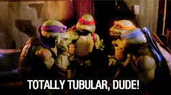 Turtles Tubular