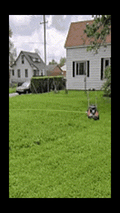 Hillbilly mowing - Made with Clipchamp