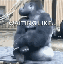 unbothered-waiting